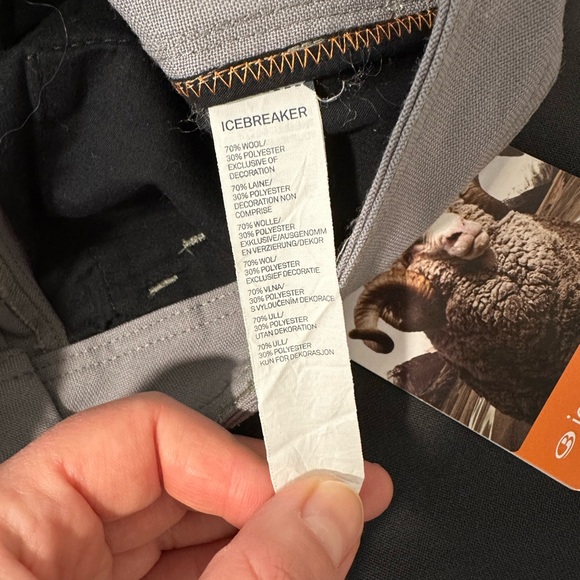 Icebreaker Shorts - Picture 3 of 4